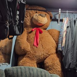Huge Teddy Bear
