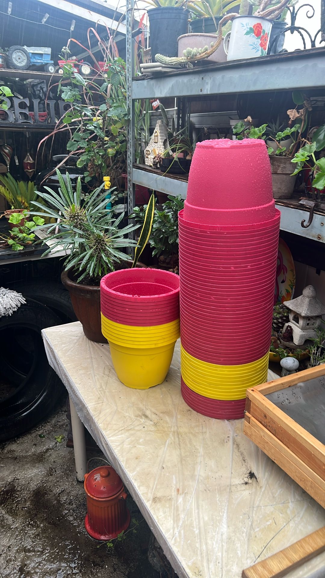 Maseter Contener Plástico H/7.5” Top/10”