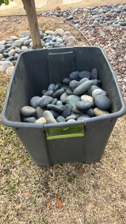 Huge Lot Clean Mexican Beach Pebbles 2-3 inches