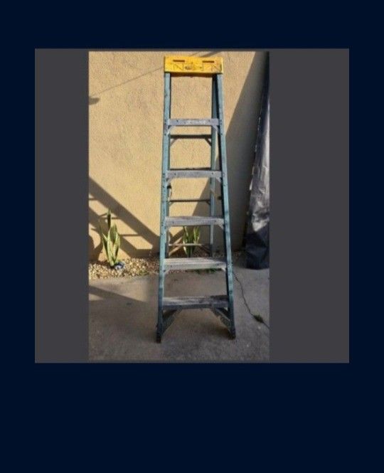 6ft Ladder Usec
