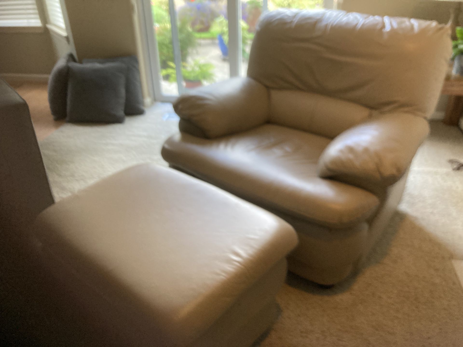 Leather Chair And Ottoman 
