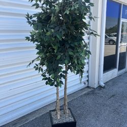 7” Silk Artificial Potted Ficus Tree Greenery! Good condition! 
