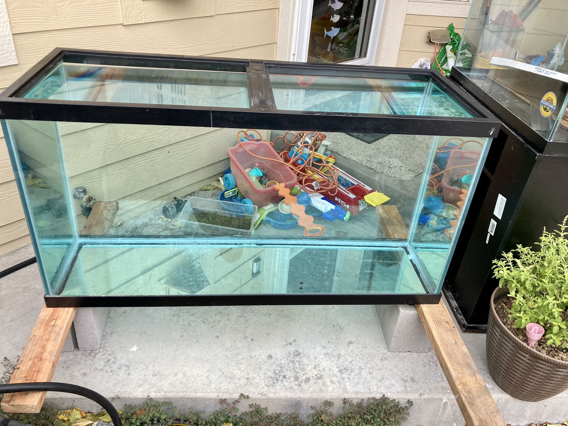 Rare Size Very Nice 100 Gallon Aquarium & Stand (Fish Tank) 