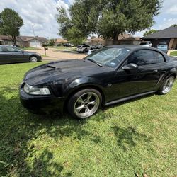 2000 Ford Mustang