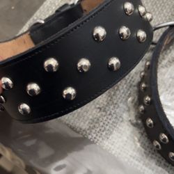 Leathe Dog Collar And Leashes 