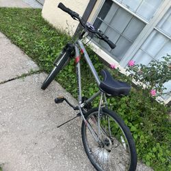 Roadmaster bike