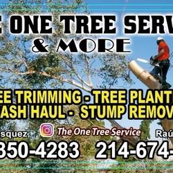 Trees Service 