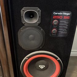 (2) Cerwin Vega 250 SE Speakers 🔊 ONKYO AV Receiver & ONKYO IPOS Adapter 