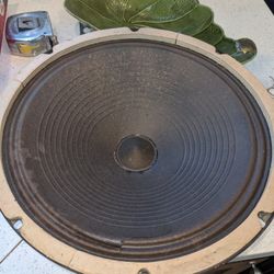 Rola 12-in Speakers 