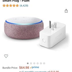 Amazon Alexa Echo Dot and Smart Plug (brand new)