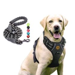 No Pull Harness With Leash Set