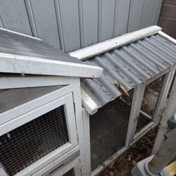 Chicken Or Rabbit Coup