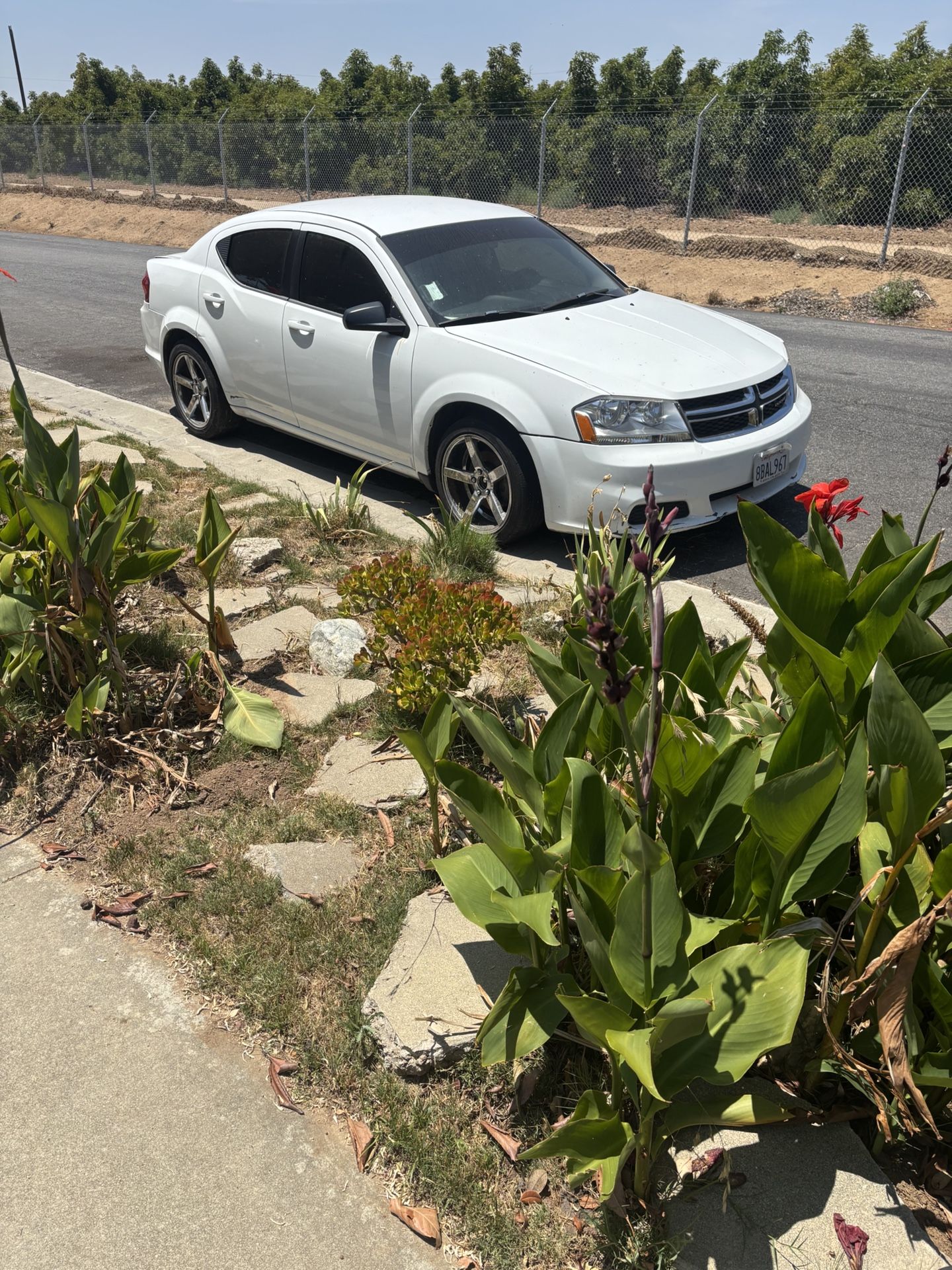 2013 Dodge Avenger