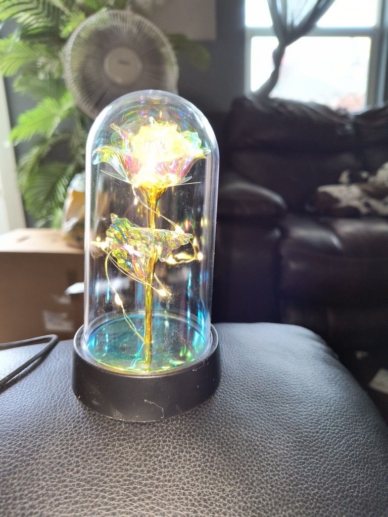 Lighted Roses In Different Colors