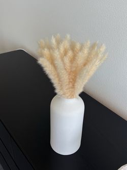 Vase and pampas