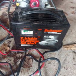 Slow  Battery  Charger 