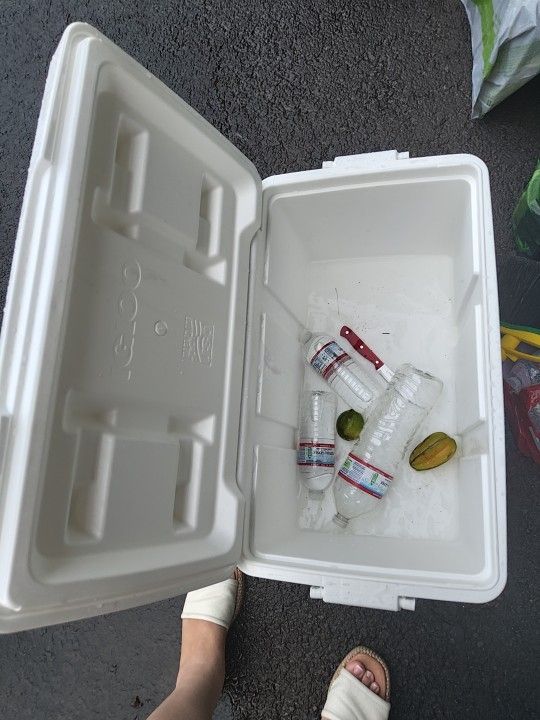 Ice Chest & Tommy Bahama Chair