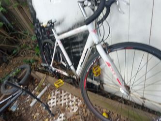 White Road Bike with Drop Handlebars