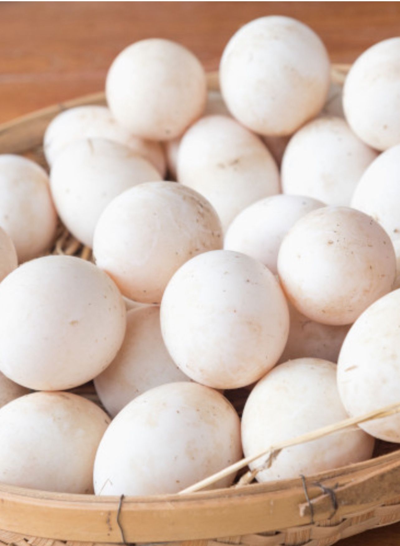 Fresh Organic Pekin Duck Egg