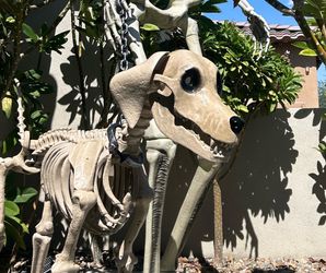 7ft Shelly’s Skeleton Dog Halloween