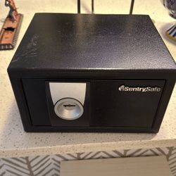 Sentry Safe Fire Proof 