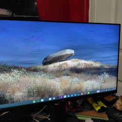 Dell P2419H monitor