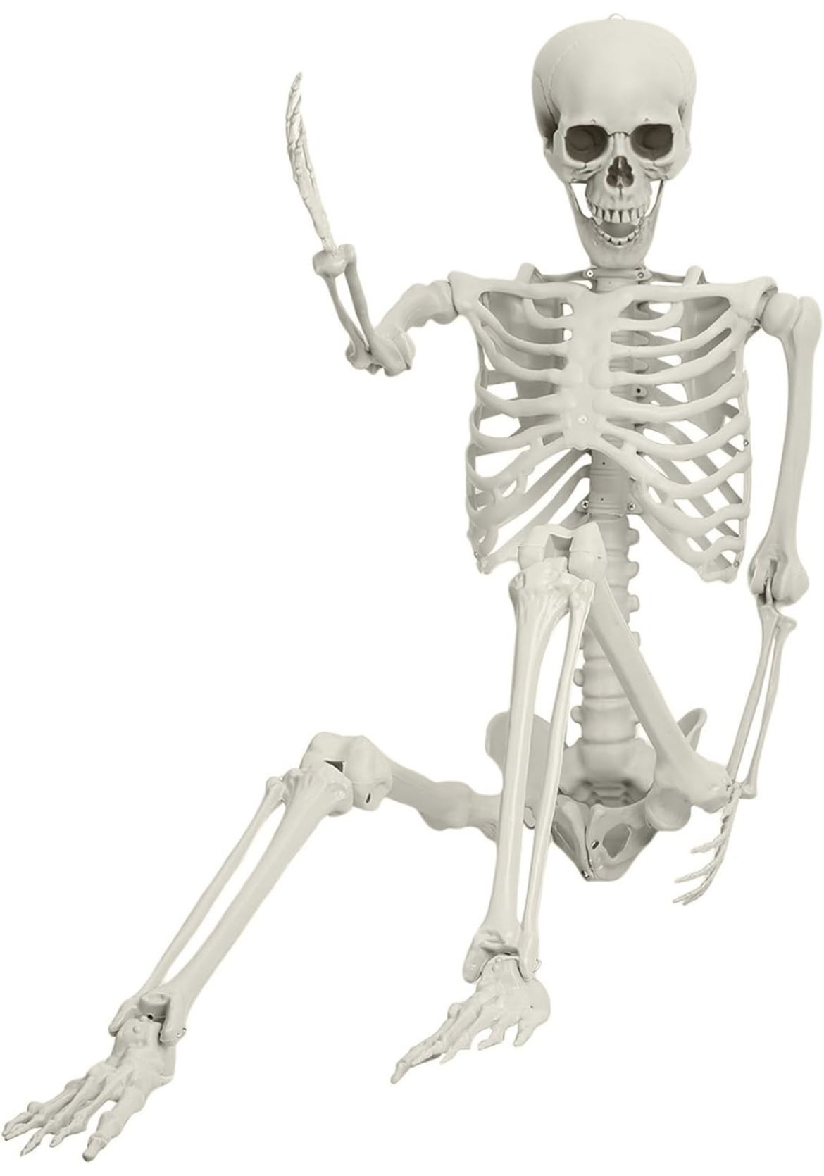 (2pcs) 5.4Ft/165cm Halloween Skeleton For Sale $23.00 50%+ OFF Retail $47.98 IN BOXES