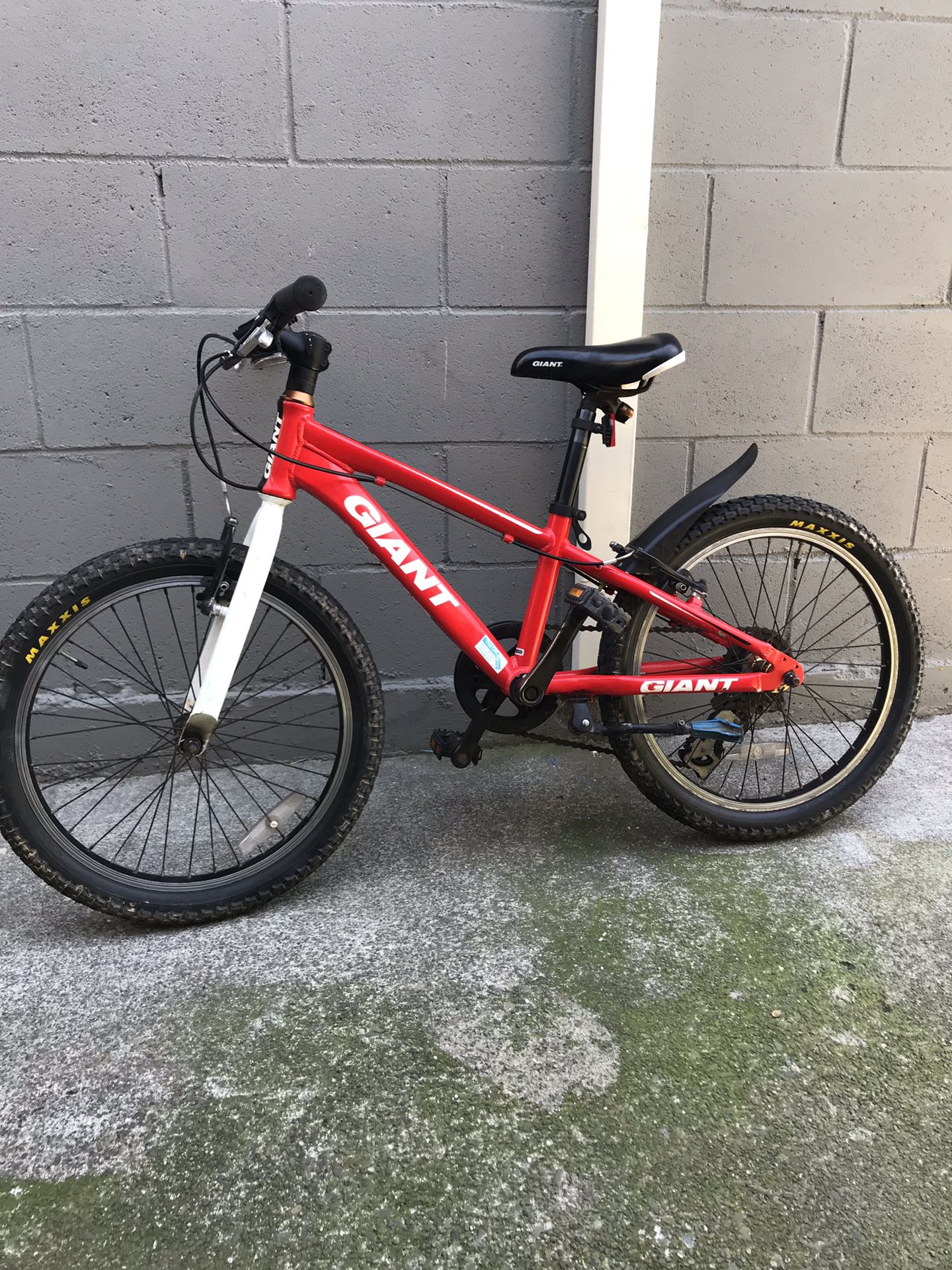 Giant bike 20” for kids
