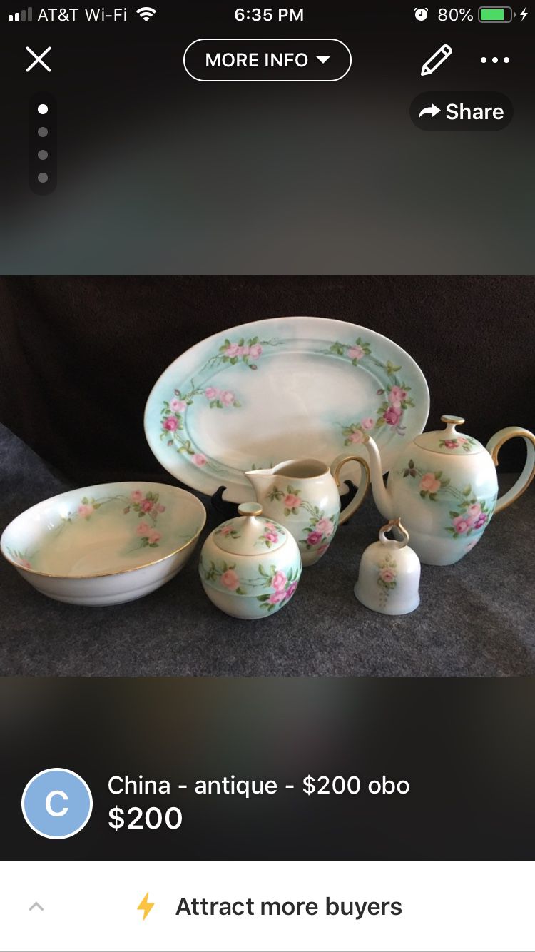 Antique Austrian hand painted china - Service for 12+ extra pieces