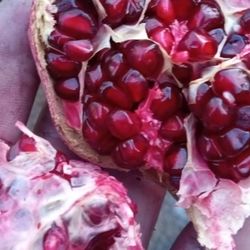 Pomegranite