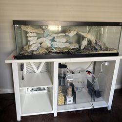 Fish Tank