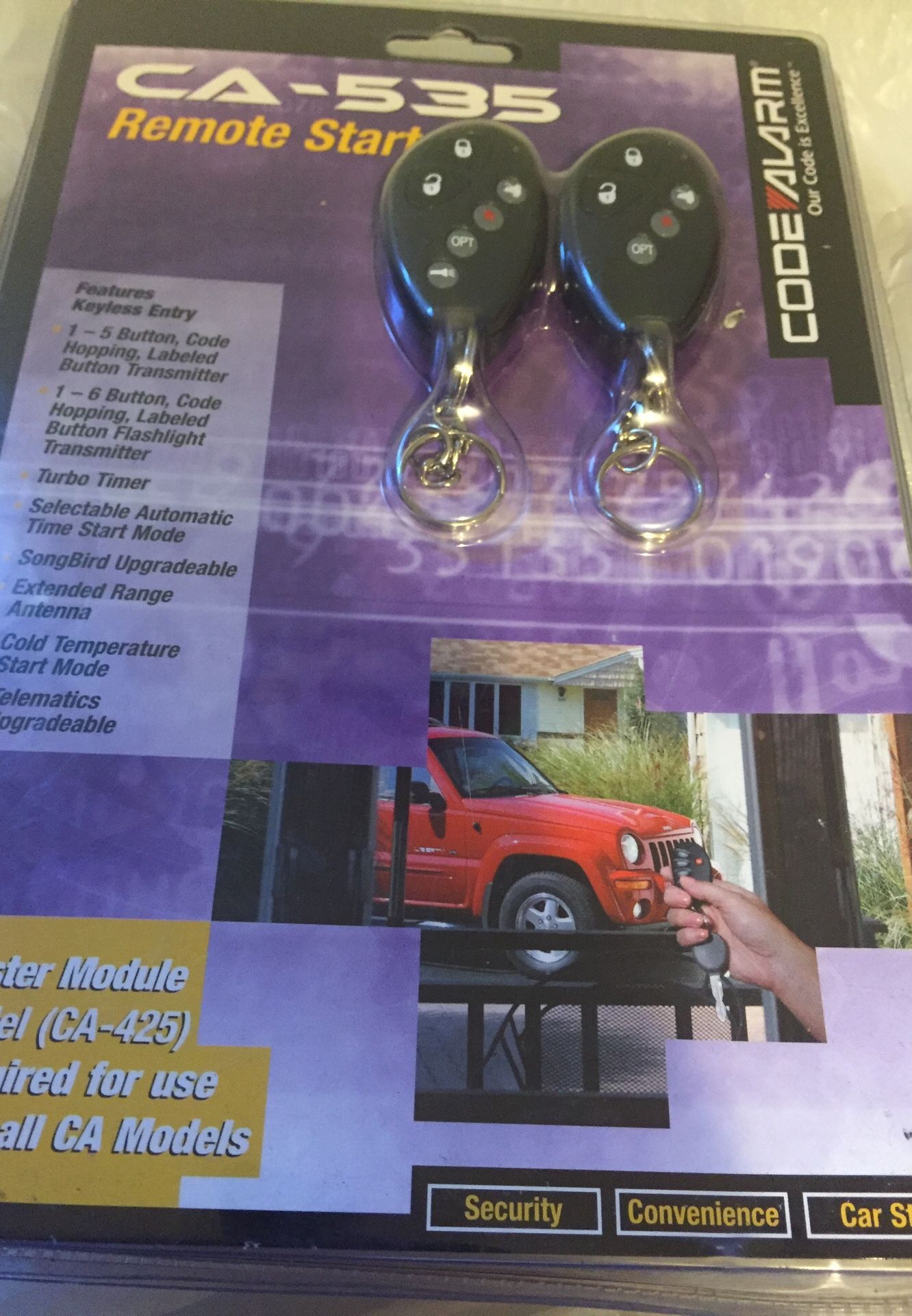 Car alarm code alarm