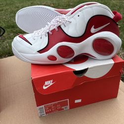 Men’s 12 Nike Air Zoom