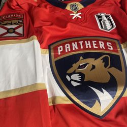 Florida Panthers LARGE.