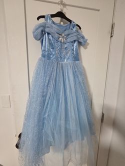 Cinderella Halloween Costume