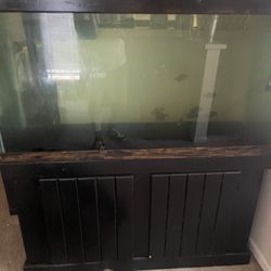 Canopy Top Fish Tank