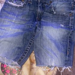 True Religion Cut Off Worn Out Shorts
