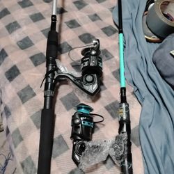 Penn Rod And Reel Combo Fishing Poles
