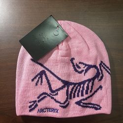 Pink Arcteryx Cap 