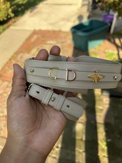 Christian Dior replaceable bag strap