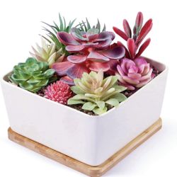 7 inch Square Ceramic White Large Succulent planters Indoor Succulents Pots with Drainage Bamboo Trays