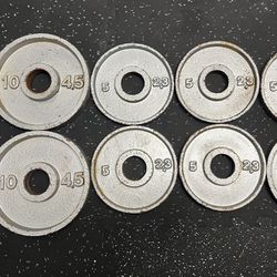 2” Inch Silver Weight Lifting Plates - 50 LBS Total
