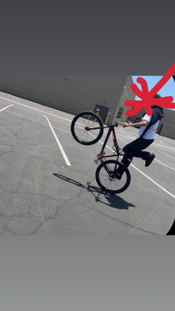 throne 27.5