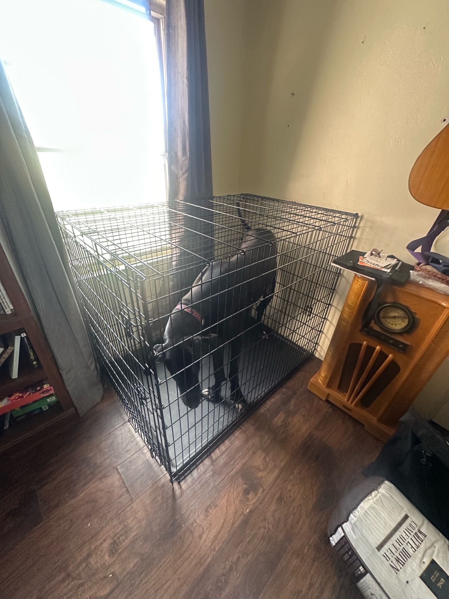 Dog crate kennel XXL