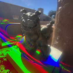 Perrito chino hecho en Japón