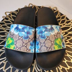 Slides 