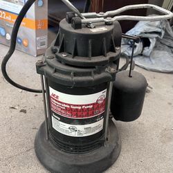 Ace Hardware Submersible Pump