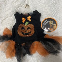 Brand New Xs Dog Costume