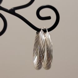 .925 Silver Earrings 