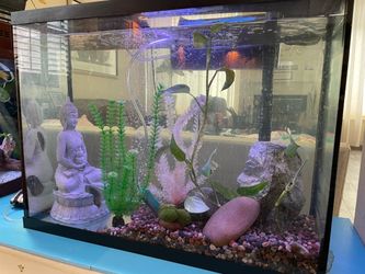 36 gallons fish tank